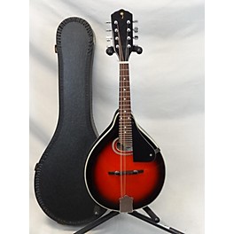 Used Palmer PM100 Mandolin