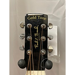 Used Gold Tone Paul E Beard Lap Steel