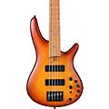 Ibanez SR505E 5-String Electric Bass Guitar Light Violin Sunburst Flat