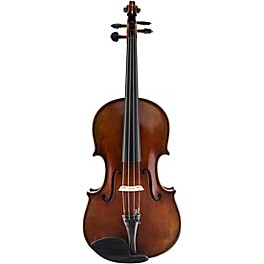 Scherl and Roth SR72 Series Professional Viola Outfit