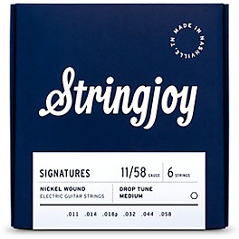 Stringjoy Signatures 6 String Nickel Wound Electric Guitar Strings