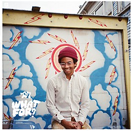 Toro y Moi - What for