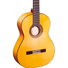 flamenco guitar shop