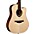 Lag Guitars Tramontane HyVibe THV20DCE Dreadnought Acoustic-Electric Smart Guitar Natural