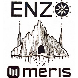 Used Meris ENZ Effect Pedal