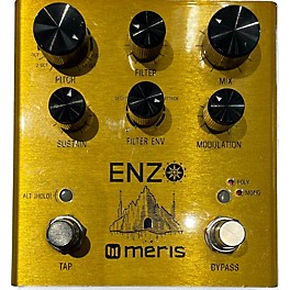 Used Meris Enzo Effect Pedal