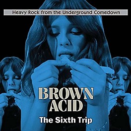 Various Artists - Brown Acid - The Sixth Trip / Various