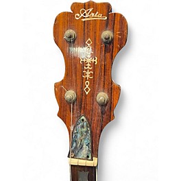 Vintage 1970s Aria MIJ Natural Banjo