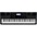 Casio WK-6600 76-Key Portable Keyboard 
