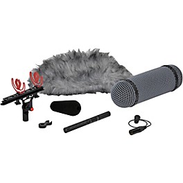DPA Microphones d:dicate 4017B-R Shotgun Microphone with Ryocote Windshield